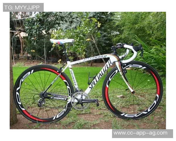 十年恩怨再燃战火斯科特尔与迭戈科斯塔传奇赛场上再度冲突